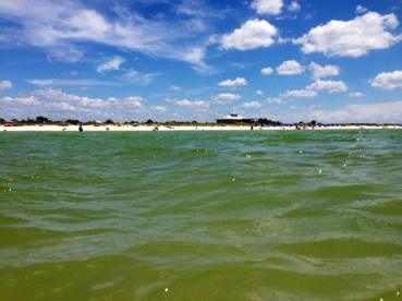 Honeymoon Island, Florida, 2013. My self-baptism.