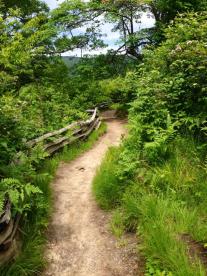 One of the trails at Graveyard Fields, NC. God's path through the valley of darkness.